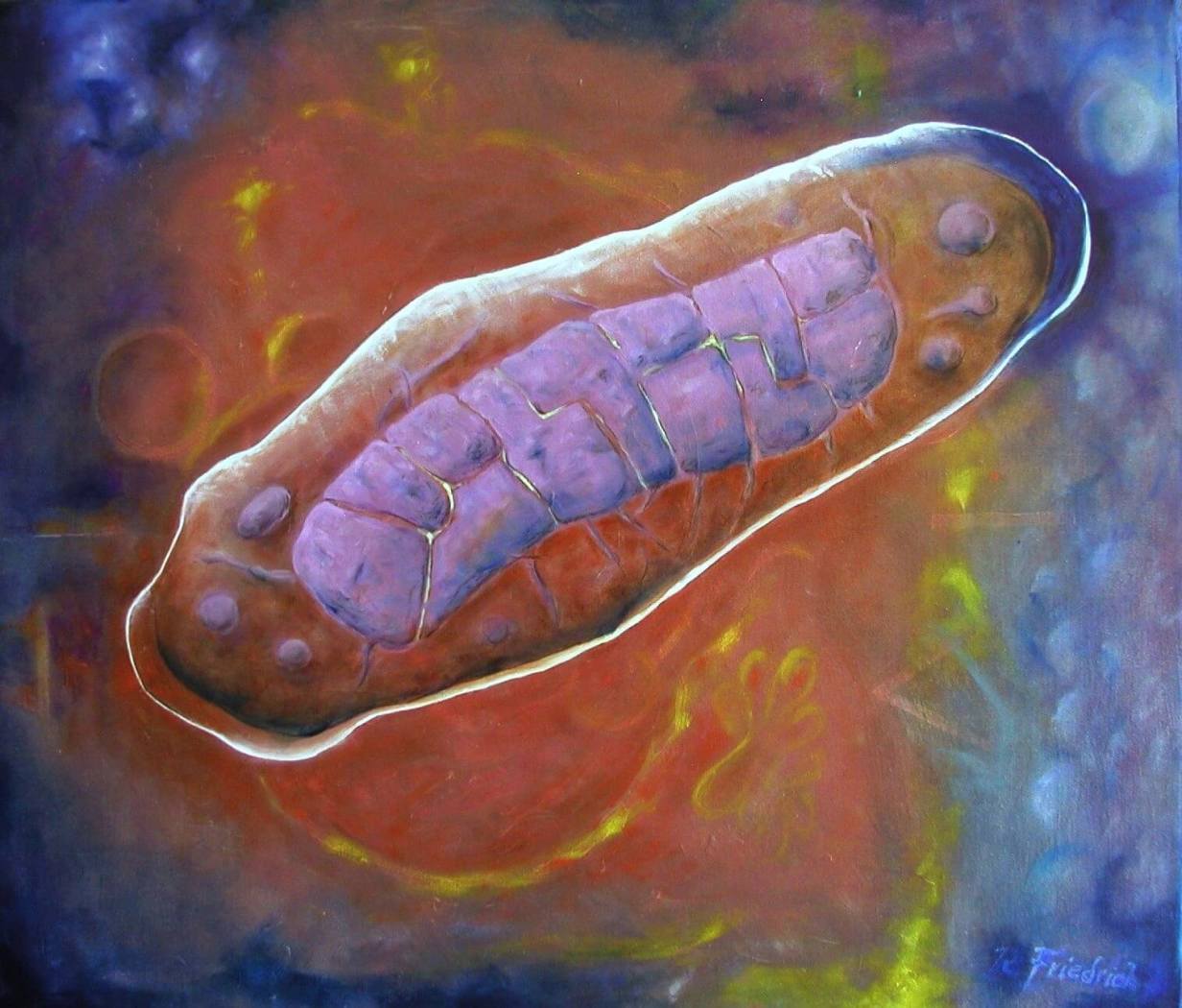 Mitochondrum - the first joining of two bodies put evolution on the path to human life. - Science Art